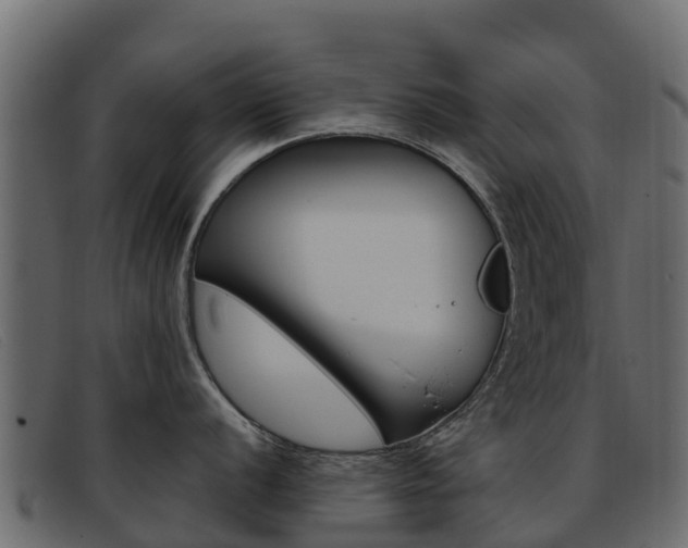 X0000093371056200710111323