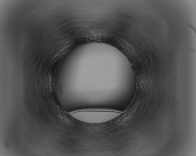 X0000093371060200710111322