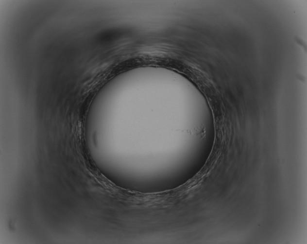 X0000093371061200710111322