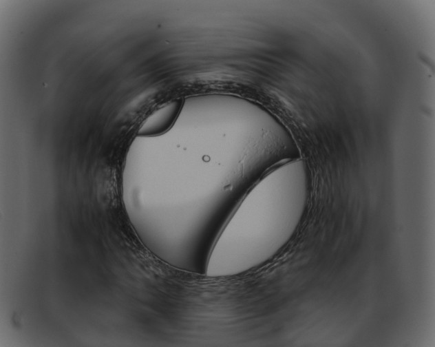 X0000093371062200710111322