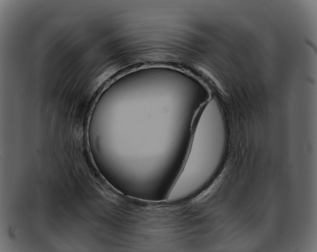 X0000093371065200710111322