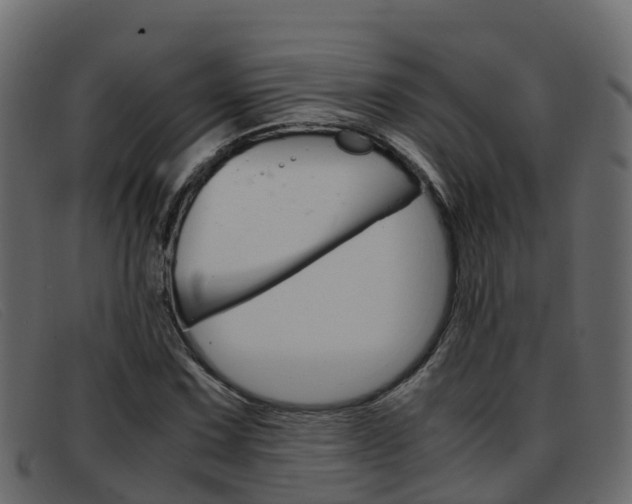 X0000093371067200710111322