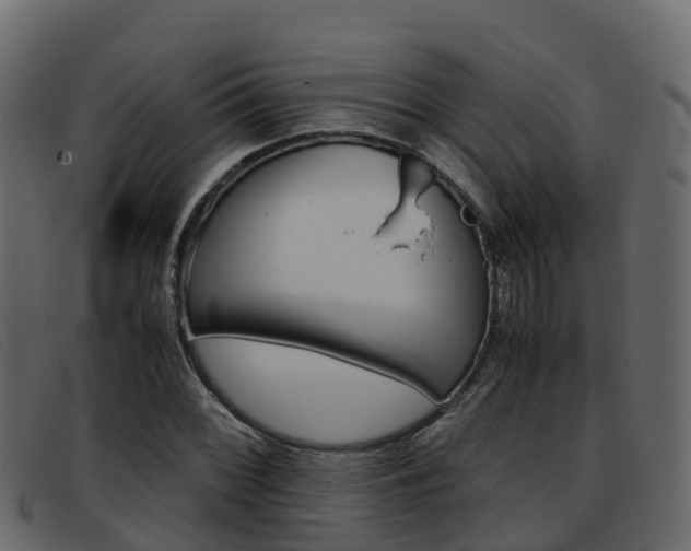 X0000093371068200710111322