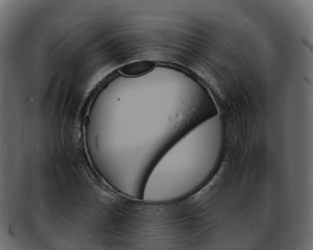X0000093371070200710111322