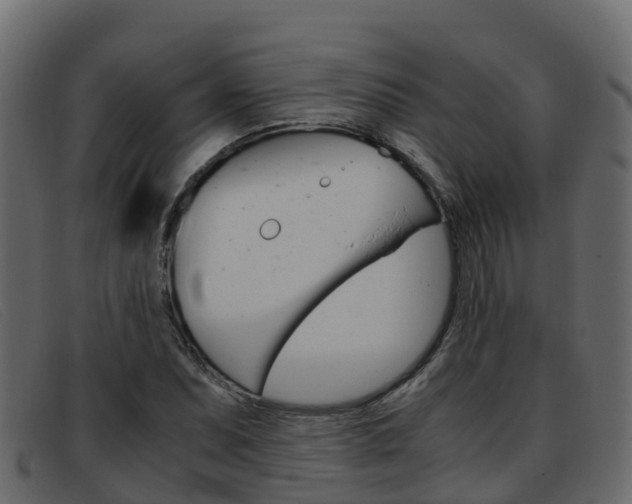 X0000093371071200710111322