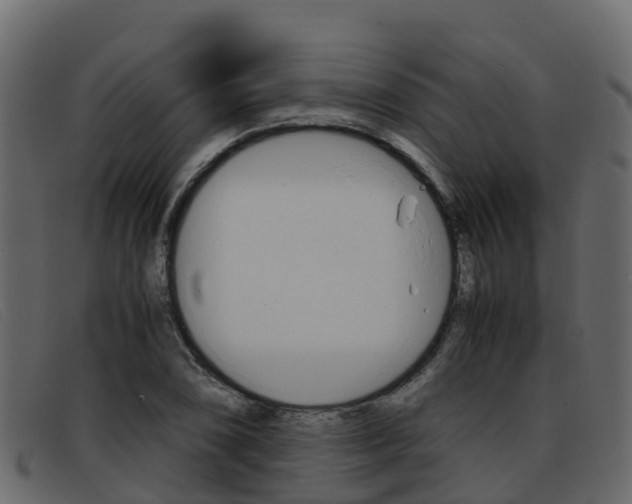 X0000093371074200710111322