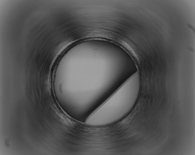 X0000093371076200710111322