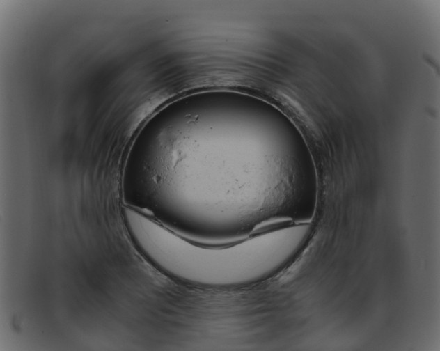 X0000093371081200710111322