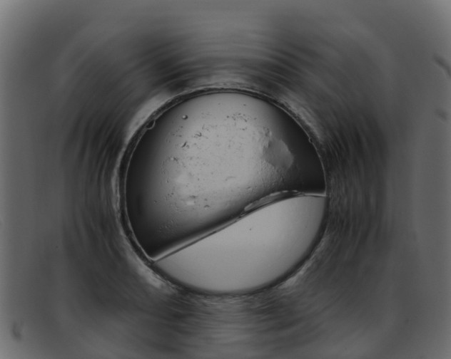 X0000093371082200710111322