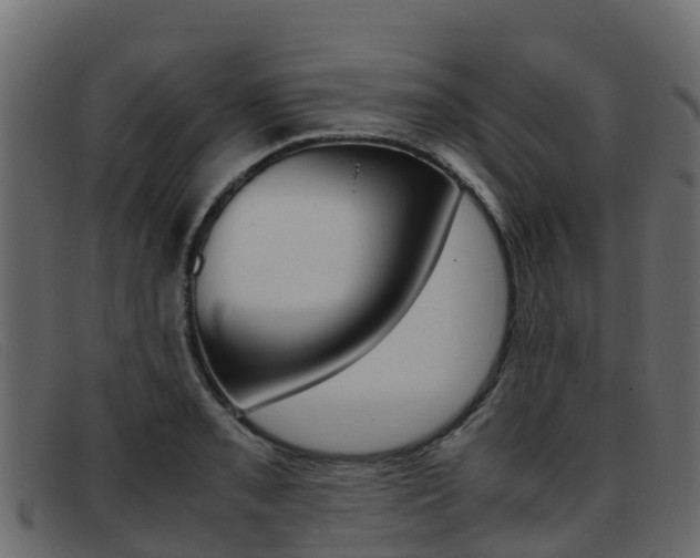 X0000093371085200710111322