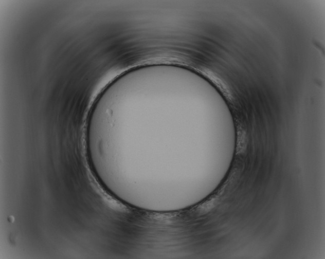 X0000093371086200710111322