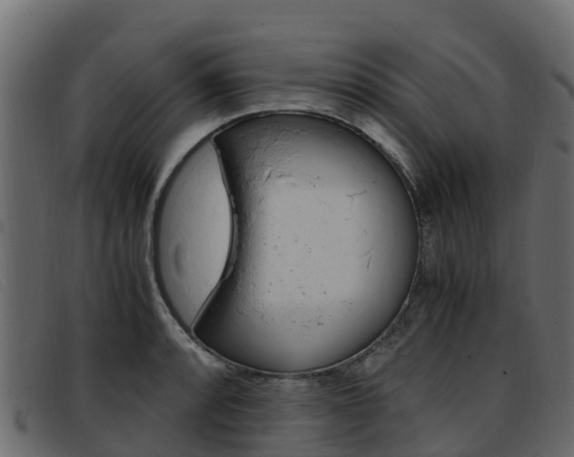 X0000093371088200710111322