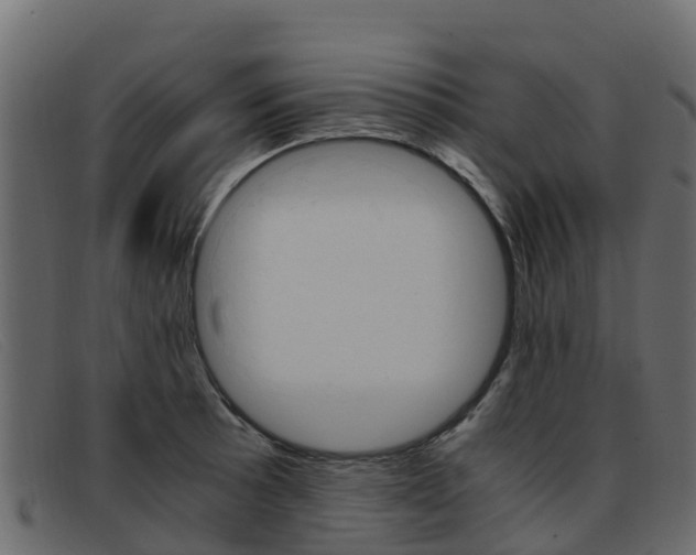 X0000093371089200710111322