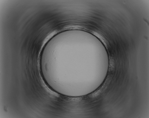 X0000093371090200710111322