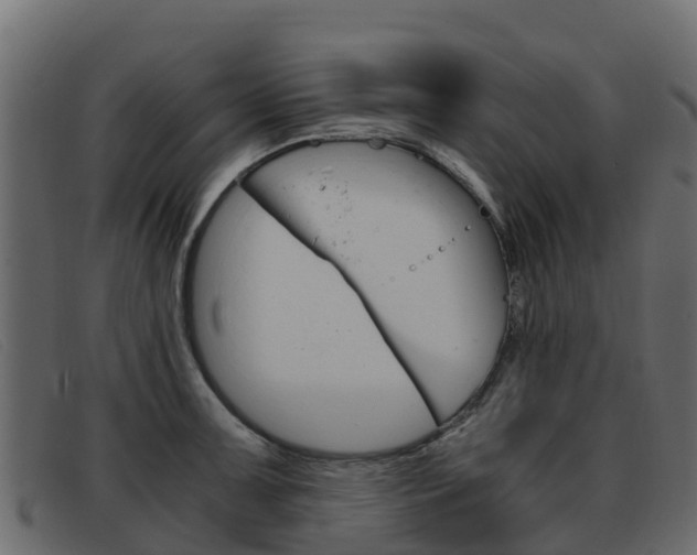 X0000093371091200710111322