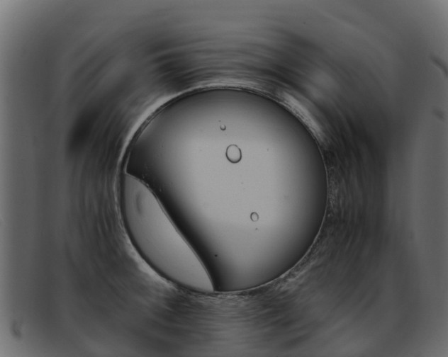 X0000093371092200710111322