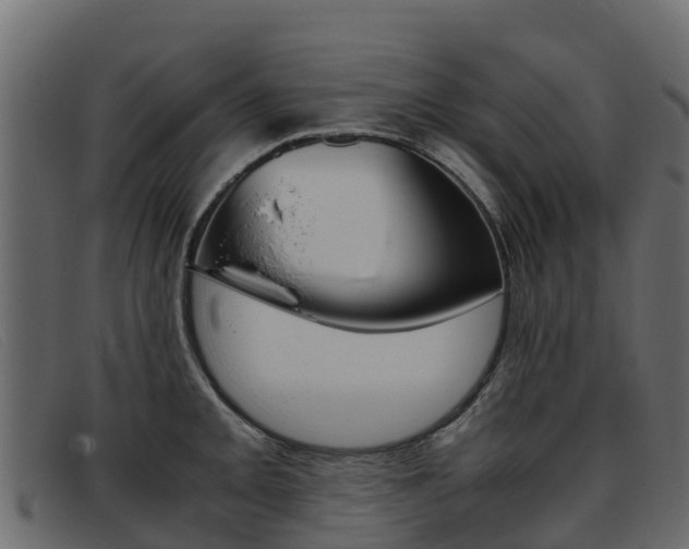 X0000093371093200710111322