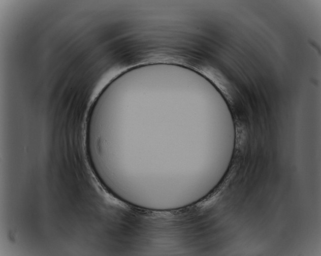 X0000093371094200710111322