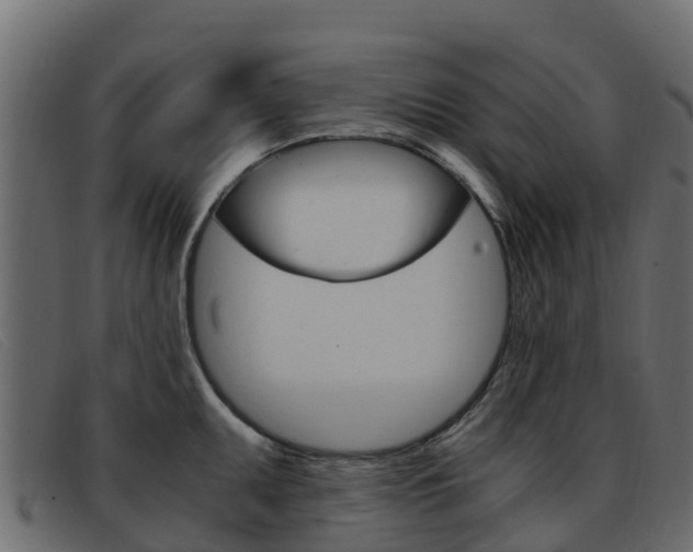 X0000093371095200710111322