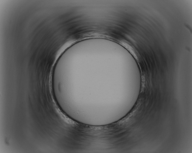 X0000093371098200710111322