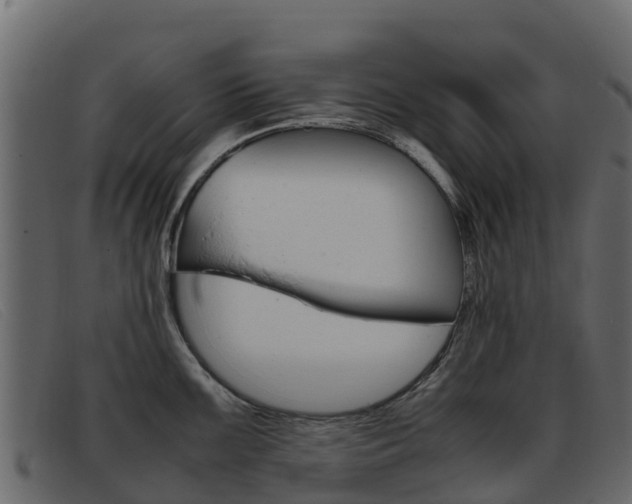 X0000093371099200710111322