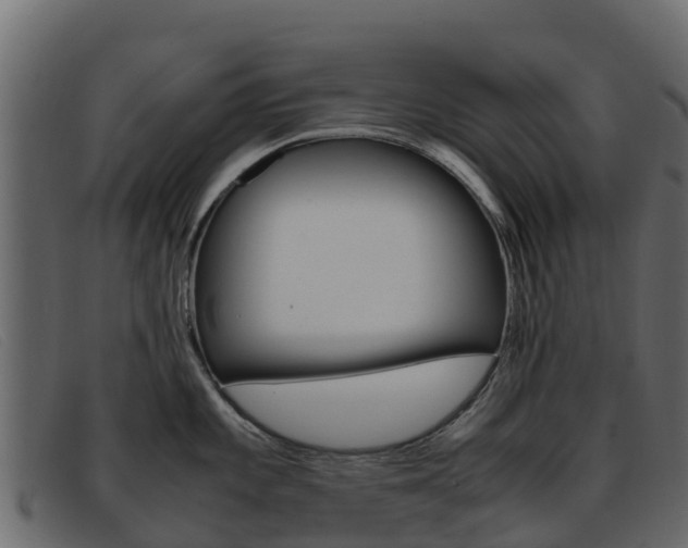 X0000093371101200710111322