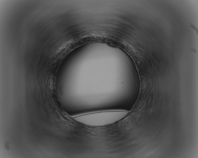 X0000093371110200710111321