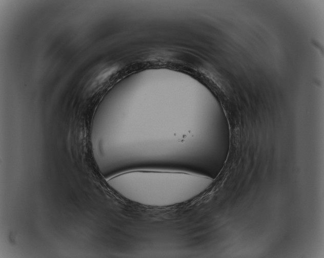 X0000093371111200710111321