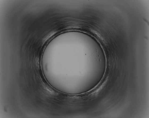 X0000093371113200710111321