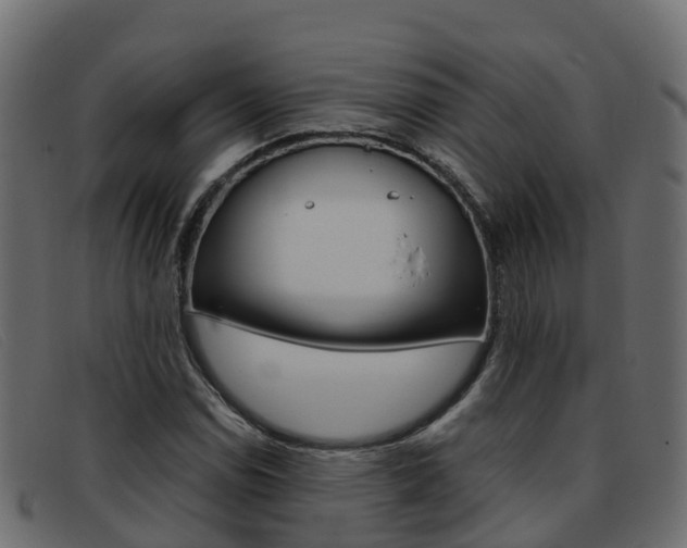 X0000093371114200710111321