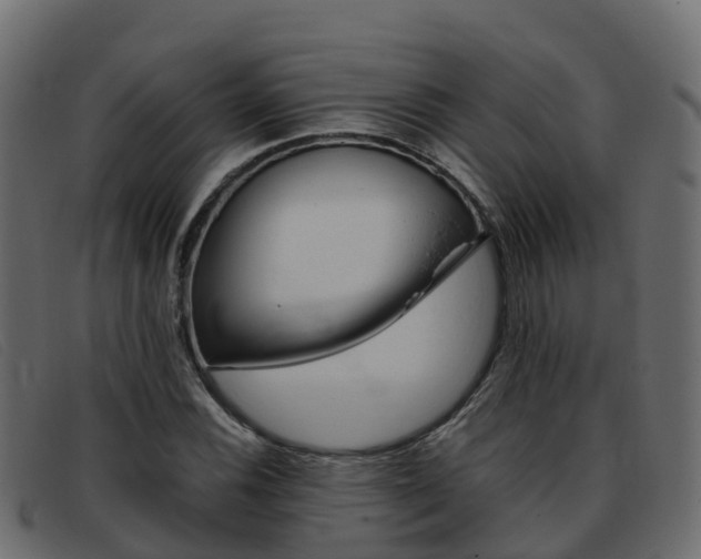 X0000093371116200710111322