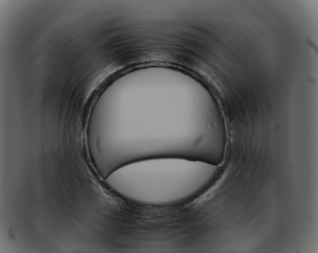 X0000093371117200710111322