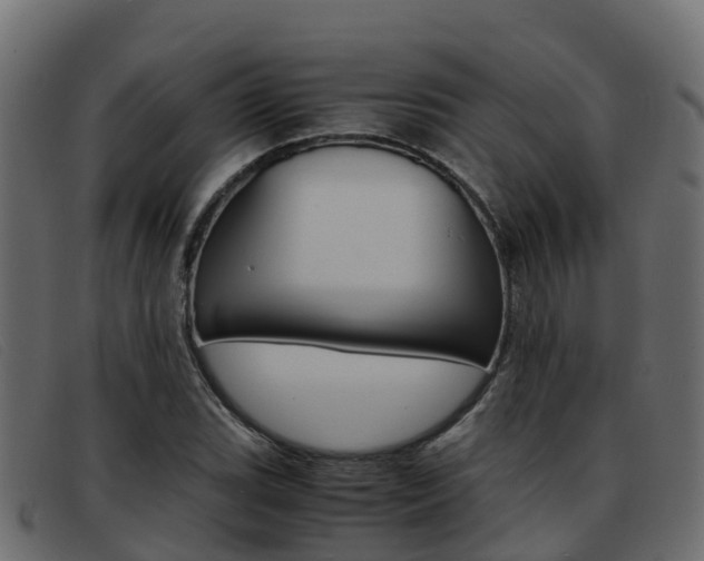X0000093371119200710111322