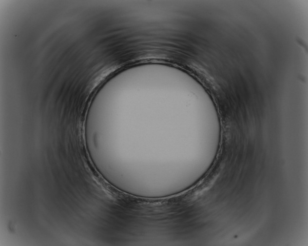 X0000093371121200710111322