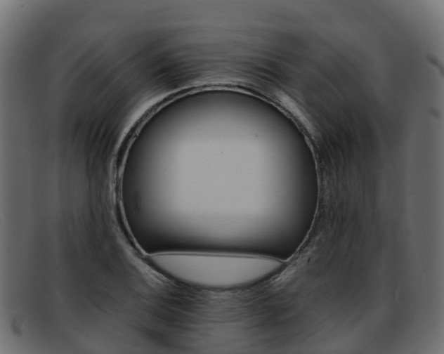 X0000093371124200710111322