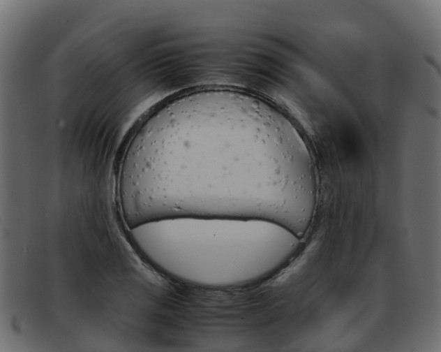X0000093371125200710111322