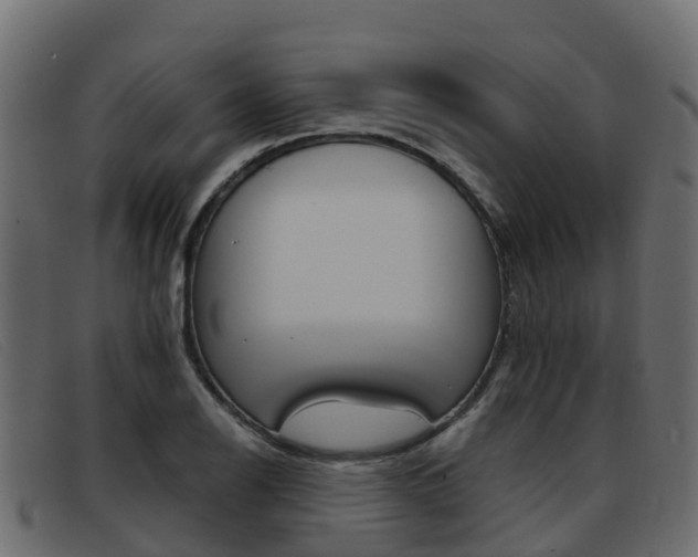 X0000093371126200710111322