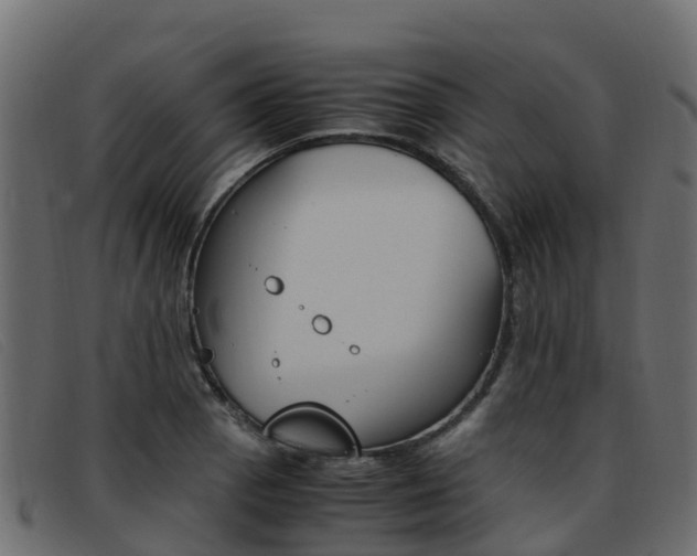 X0000093371129200710111322