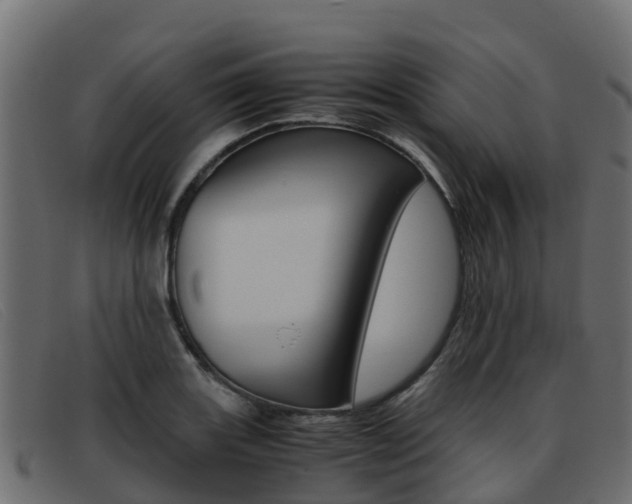 X0000093371131200710111322