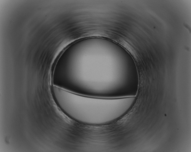 X0000093371132200710111322