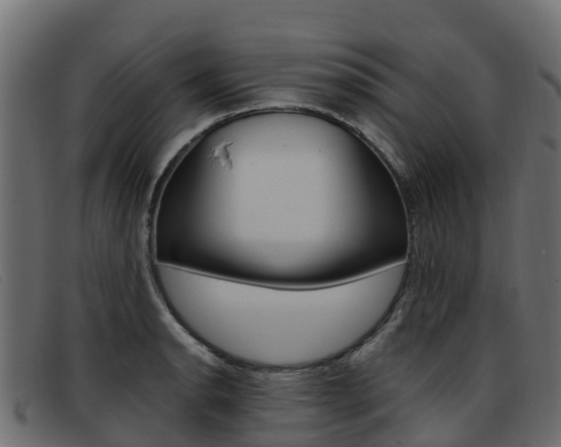 X0000093371134200710111322