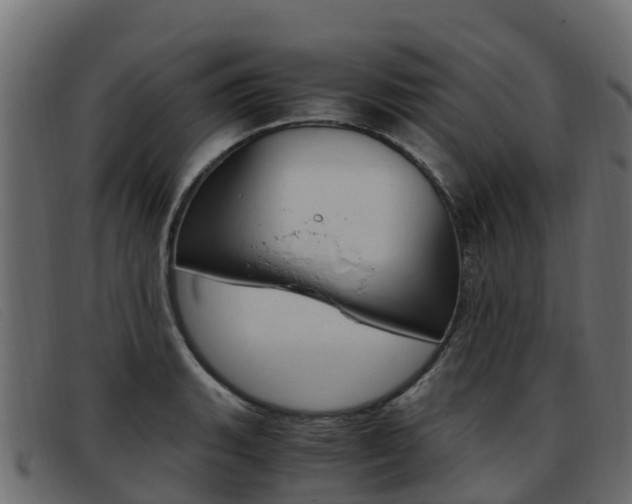 X0000093371135200710111322