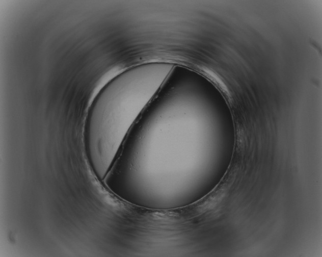X0000093371138200710111322