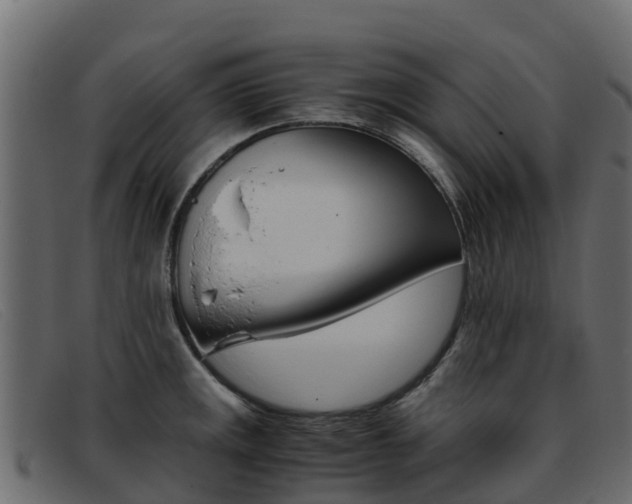 X0000093371141200710111322