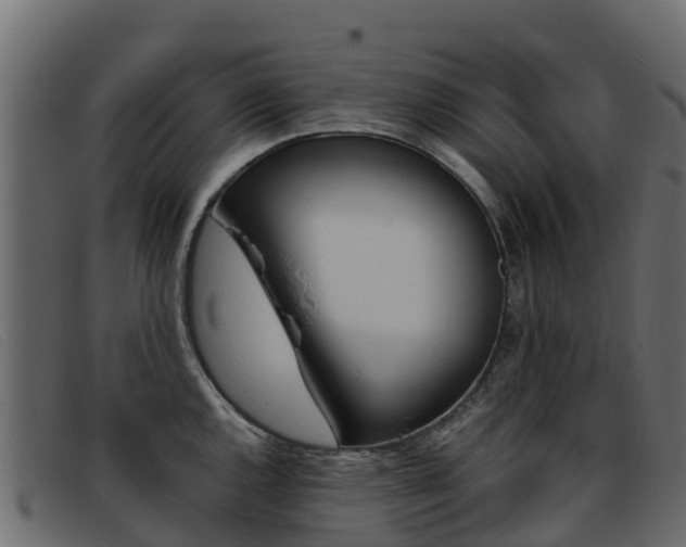 X0000093371144200710111322