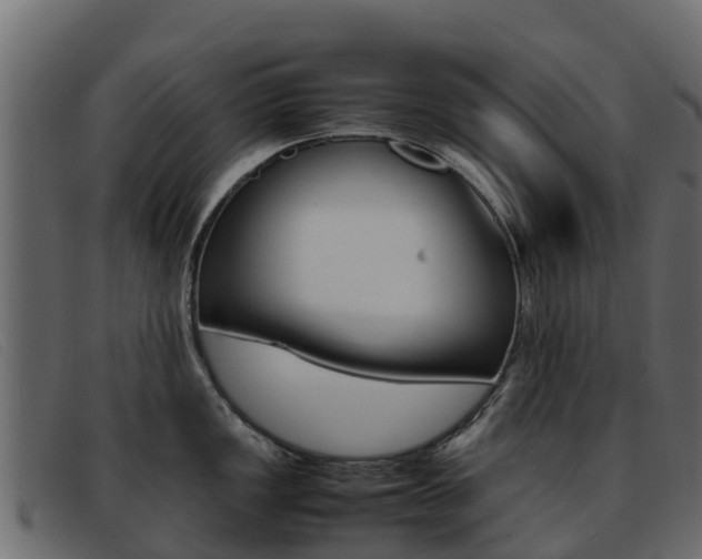 X0000093371149200710111322