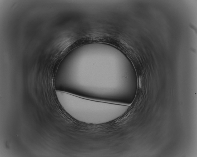 X0000093371155200710111321