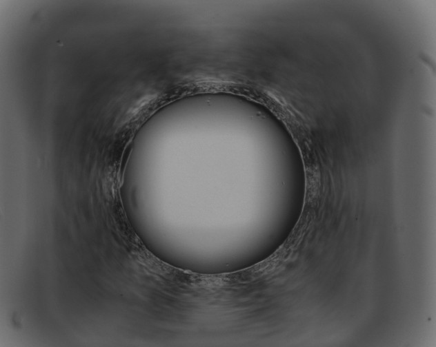 X0000093371157200710111321
