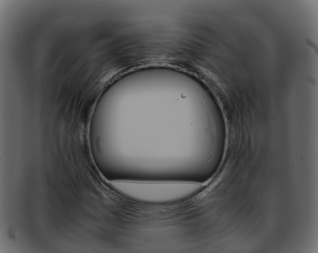 X0000093371161200710111321