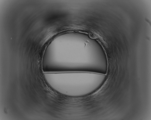 X0000093371163200710111321